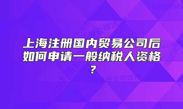 上海注册国内贸易公司后如何申请一般纳税人资格？