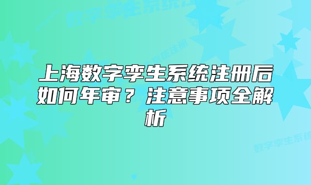 上海数字孪生系统注册后如何年审?注意事项全解析