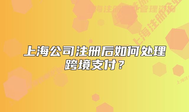 上海公司注册后如何处理跨境支付?