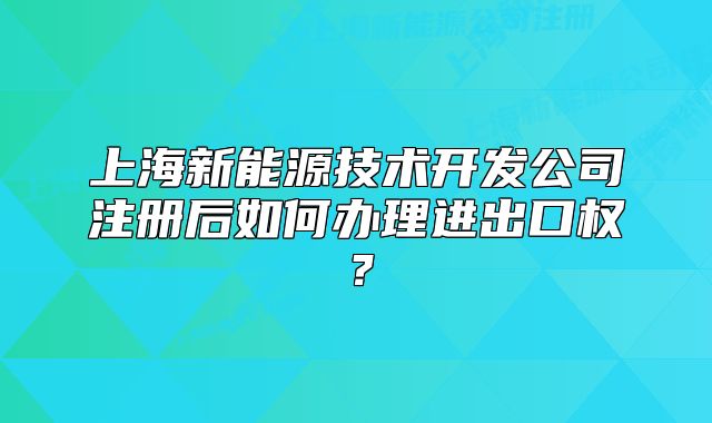 上海新能源技术开发公司注册后如何办理进出口权?