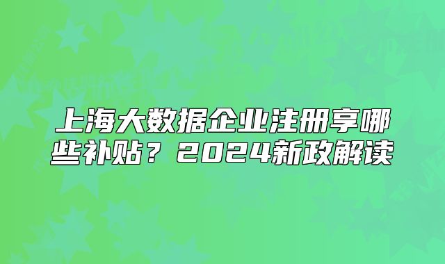 上海大数据企业注册享哪些补贴?2024新政解读