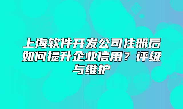 上海软件开发公司注册后如何提升企业信用?评级与维护
