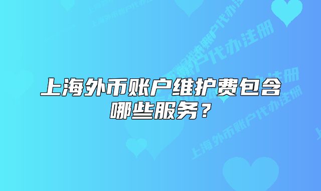 上海外币账户维护费包含哪些服务?