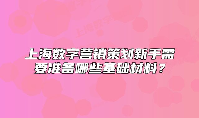 上海数字营销策划新手需要准备哪些基础材料？