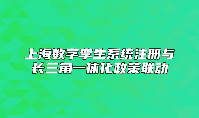 上海数字孪生系统注册与长三角一体化政策联动
