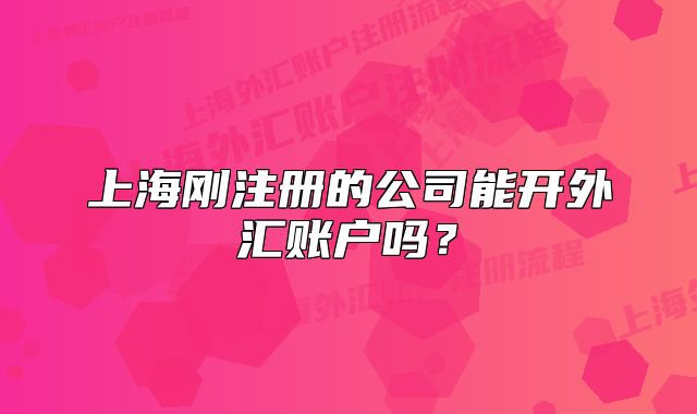 上海刚注册的公司能开外汇账户吗？