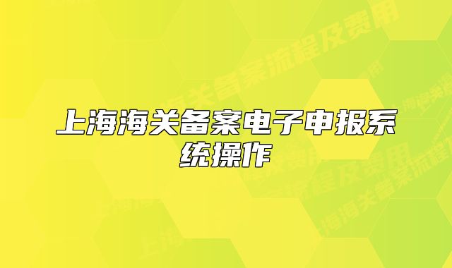 上海海关备案电子申报系统操作