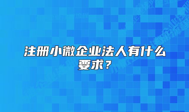 注册小微企业法人有什么要求？