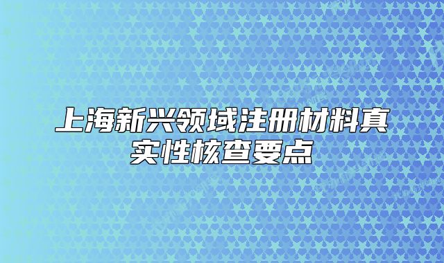 上海新兴领域注册材料真实性核查要点
