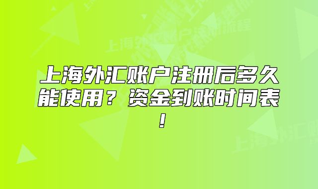 上海外汇账户注册后多久能使用？资金到账时间表！
