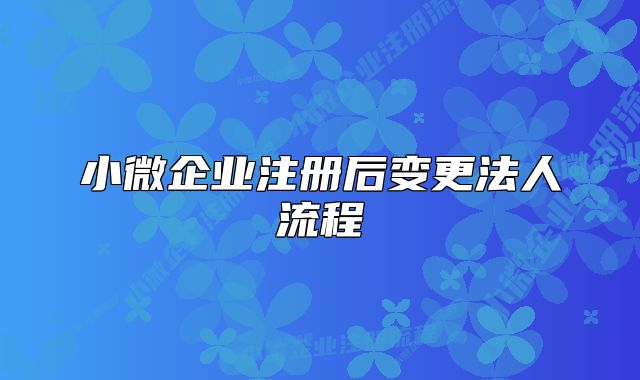 小微企业注册后变更法人流程