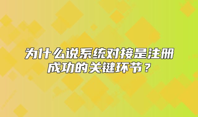 为什么说系统对接是注册成功的关键环节?