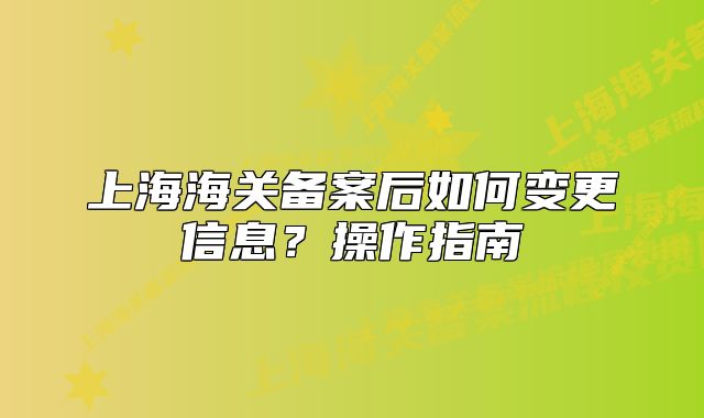 上海海关备案后如何变更信息?操作指南