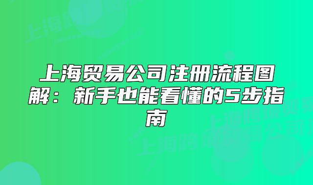 上海贸易公司注册流程图解:新手也能看懂的5步指南