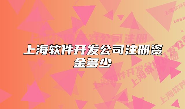 上海软件开发公司注册资金多少