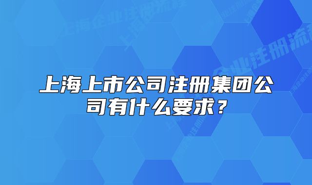 上海上市公司注册集团公司有什么要求?