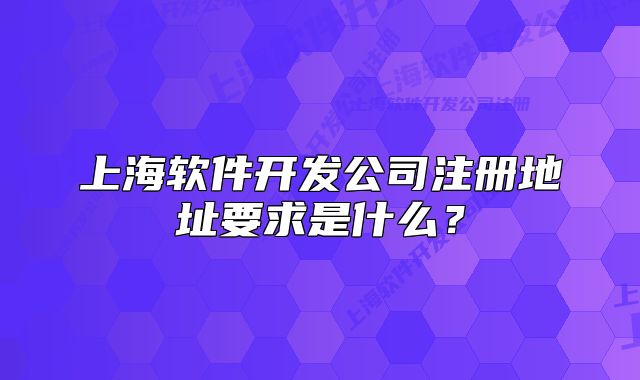 上海软件开发公司注册地址要求是什么？
