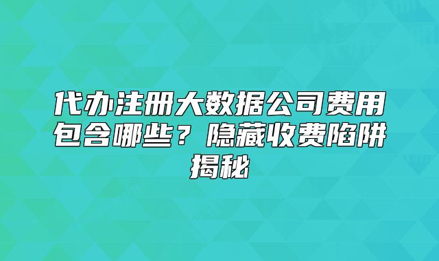 代办注册大数据公司费用包含哪些?隐藏收费陷阱揭秘