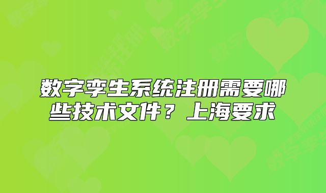 数字孪生系统注册需要哪些技术文件？上海要求