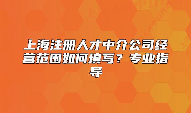 上海注册人才中介公司经营范围如何填写?专业指导