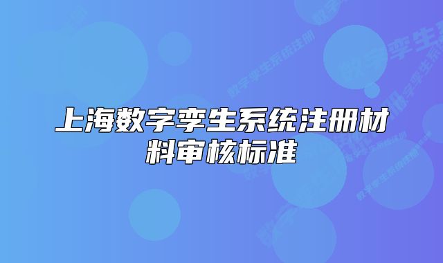 上海数字孪生系统注册材料审核标准
