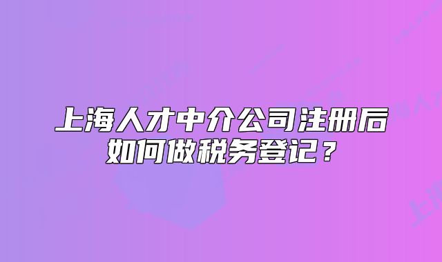 上海人才中介公司注册后如何做税务登记？