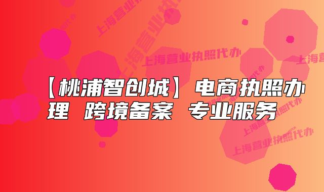 【桃浦智创城】电商执照办理 跨境备案 专业服务