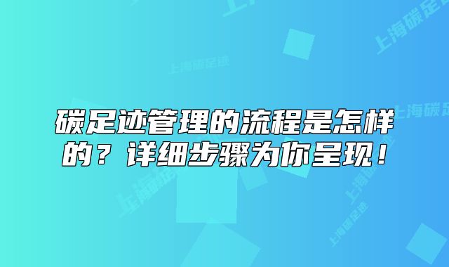 碳足迹管理的流程是怎样的?详细步骤为你呈现!