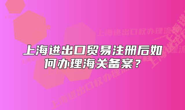 上海进出口贸易注册后如何办理海关备案?