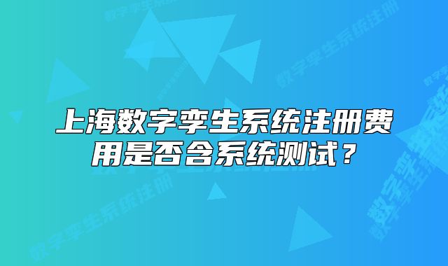 上海数字孪生系统注册费用是否含系统测试?