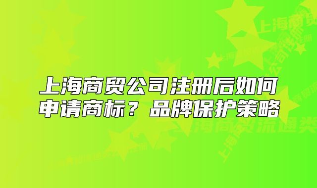 上海商贸公司注册后如何申请商标？品牌保护策略