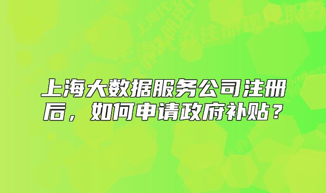 上海大数据服务公司注册后,如何申请政府补贴?