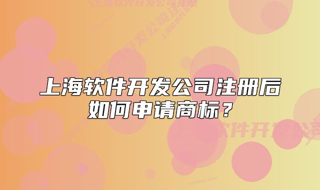 上海软件开发公司注册后如何申请商标?