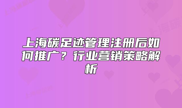 上海碳足迹管理注册后如何推广?行业营销策略解析
