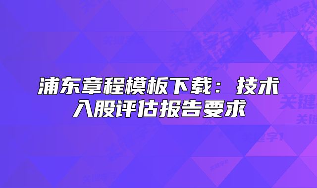 浦东章程模板下载：技术入股评估报告要求