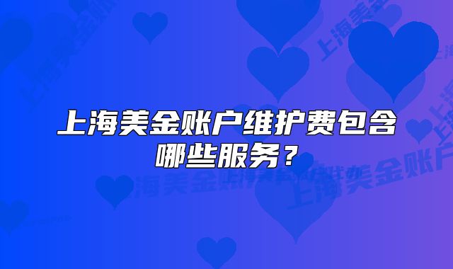 上海美金账户维护费包含哪些服务?