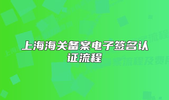 上海海关备案电子签名认证流程