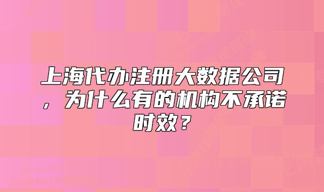 上海代办注册大数据公司，为什么有的机构不承诺时效？