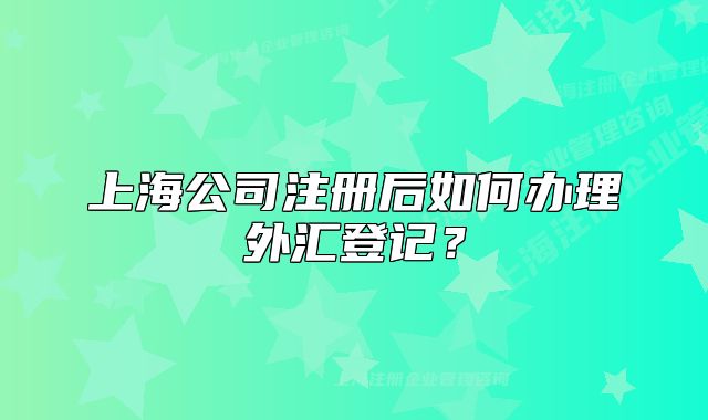上海公司注册后如何办理外汇登记?