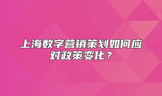 上海数字营销策划如何应对政策变化?