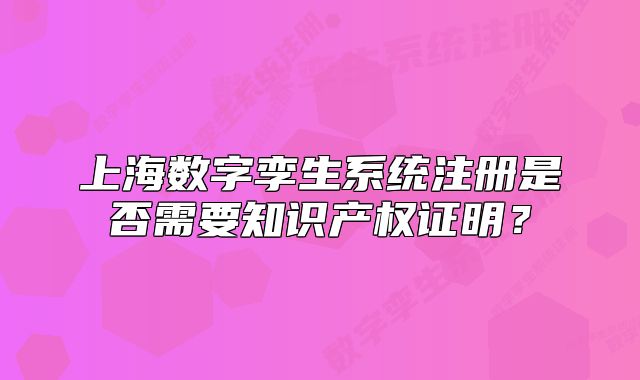 上海数字孪生系统注册是否需要知识产权证明？