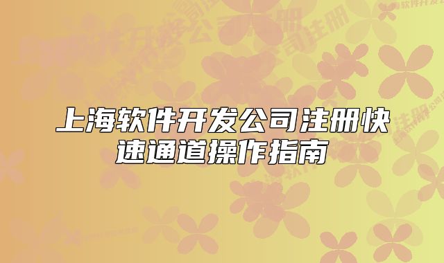 上海软件开发公司注册快速通道操作指南