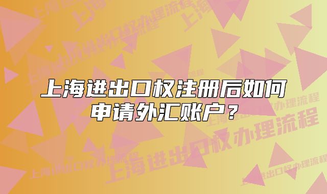 上海进出口权注册后如何申请外汇账户？