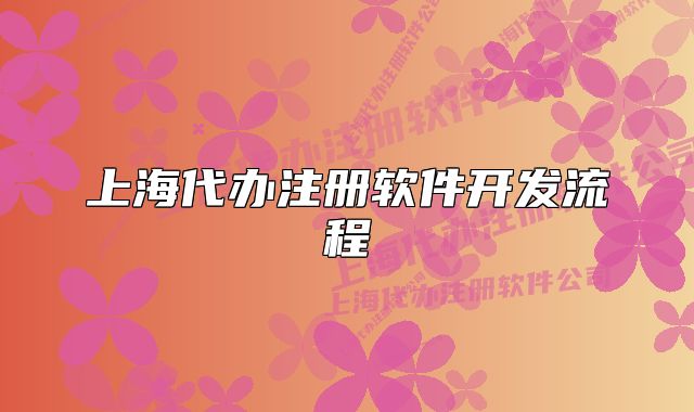 上海代办注册软件开发流程
