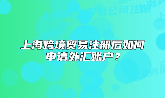 上海跨境贸易注册后如何申请外汇账户?