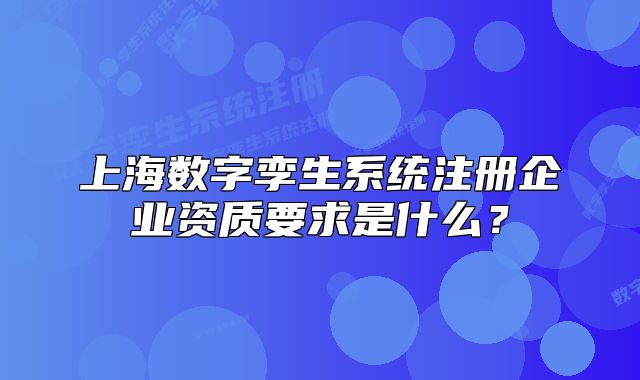 上海数字孪生系统注册企业资质要求是什么?