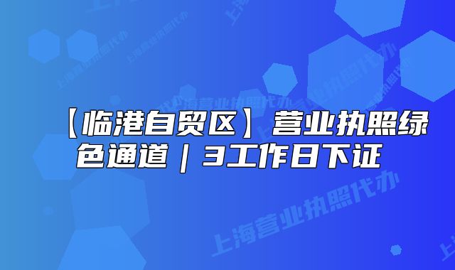 【临港自贸区】营业执照绿色通道|3工作日下证