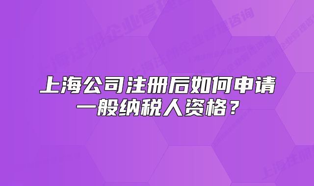 上海公司注册后如何申请一般纳税人资格?