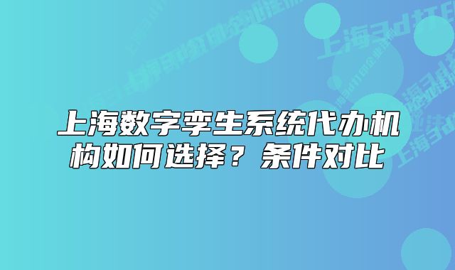 上海数字孪生系统代办机构如何选择?条件对比