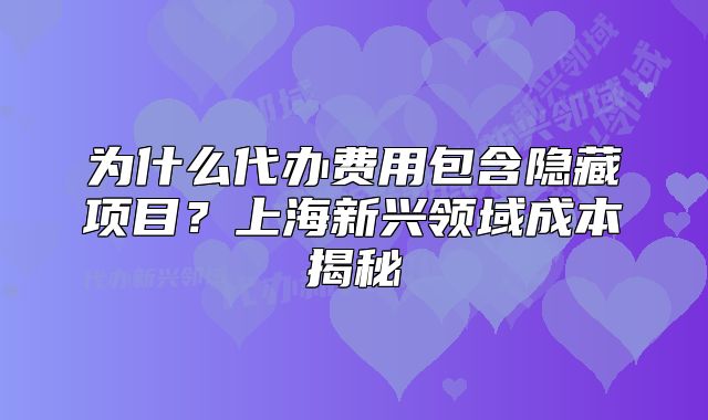 为什么代办费用包含隐藏项目?上海新兴领域成本揭秘